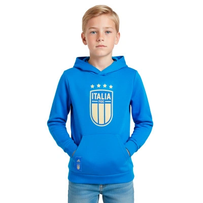 Fanswear Italy National Team Sweatshirt