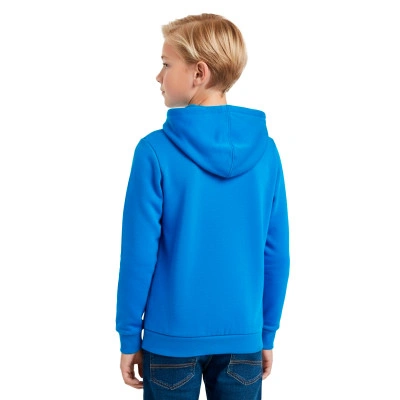 Fanswear Italy National Team Sweatshirt