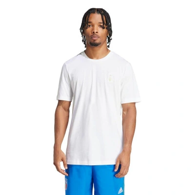 Italië FIGC T-shirt T-Shirt