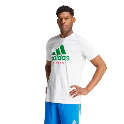 Italië FIGC T-shirt T-Shirt
