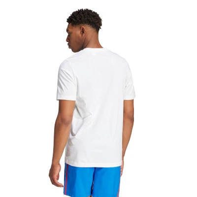 Italië FIGC T-shirt T-Shirt