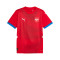 Puma Replica thuisshirt Jersey Shirt