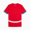 Puma Replica thuisshirt Jersey Shirt