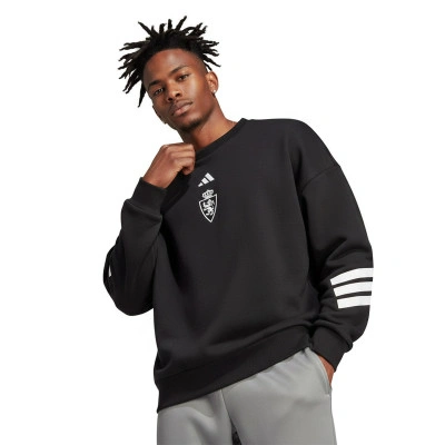 Real Zaragoza Sportswear 2025-2026 Sweatshirt