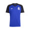 adidas Argentinië Pre-Match Away Wereldbeker 2026 T-Shirt