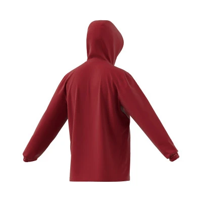 Entrada 22 Real Grupo de Cultura Covadonga Niño Regenjas