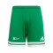 adidas Squadra 25 II Real Grupo de Cultura Covadonga (E1) Shorts