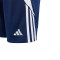 adidas Tiro 24 Real Grupo de Cultura Covadonga Niño (E1) Bermuda shorts