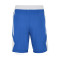Jordan Team 25 Shorts