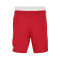Jordan Team 25 Shorts