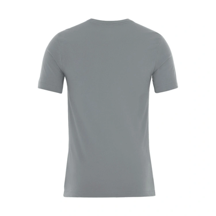 camiseta-jordan-tee-team-25-grey-white-1