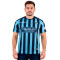 Acerbis Lecco Calcio Thuis 2025-2026 Shirt