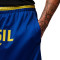 Nike Brazil Fanswear Wereldbeker 2026 Shorts