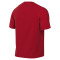 Nike Park VIII Shirt