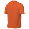 Nike Park VIII Shirt