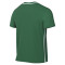 Nike Park 26 Kind Shirt