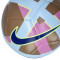 Nike Futsal Maestro Bal
