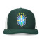 Nike Brazilië Wereldbeker 2026 Pet