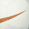 Nike Mini Frankrijk Wereldbeker 2026 Bal