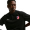 Nike Atl Madrid Fanswear 2026-2027 Poloshirt