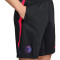 Nike Psg Training 2026-2027 Shorts