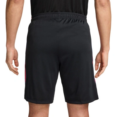Psg Training 2026-2027 Shorts