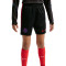 Nike Psg Training  2026-2027 Kind Shorts