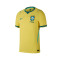 Nike Authentic Brazilië Thuistenue Wereldbeker 2026 Shirt