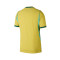 Nike Authentic Brazilië Thuistenue Wereldbeker 2026 Shirt
