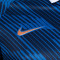 Nike Frankrijk Thuistenue Wereldbeker 2026 Shirt