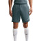 Nike Academy 25 Shorts