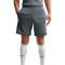 Nike Academy 25 Shorts