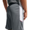 Nike Academy 25 Shorts
