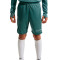 Nike Academy 25 Kind Shorts