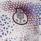 New Balance Fc Porto Pre-Match 2026-2027 T-Shirt