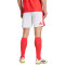 adidas Benfica Thuistenue 2026-2027 Shorts