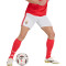 adidas Benfica Thuistenue 2026-2027 Shorts