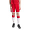adidas FC Bayern Thuistenue 2026-2027 Kinderen Shorts