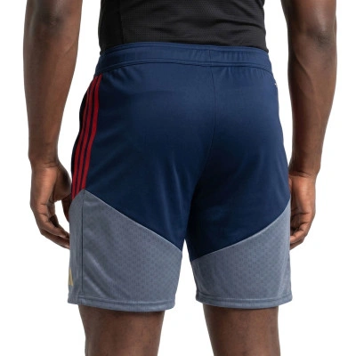 FC Bayern Training 2026-2027 Kind Shorts