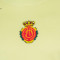Nike RCD Mallorca Training Speler Capsule 2025-2026 T-Shirt