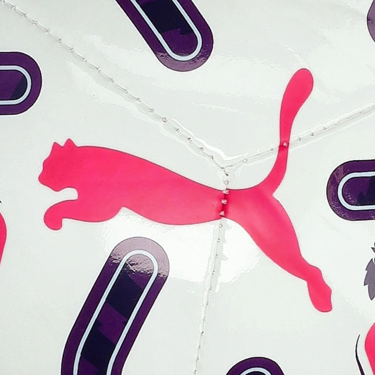 balon-puma-stellar-premier-league-mini-white-multicolor-2