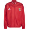 adidas SL Benfica Pre-Match 2026-2027 Jack