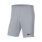 Nike Park III Knit Shorts