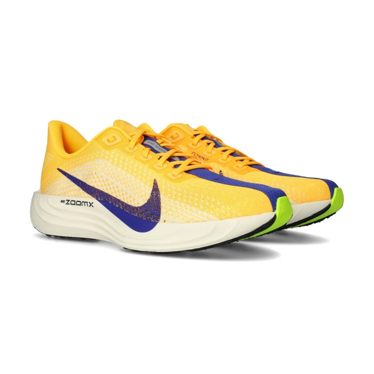 zapatilla-nike-pegasus-plus-multicolor-0
