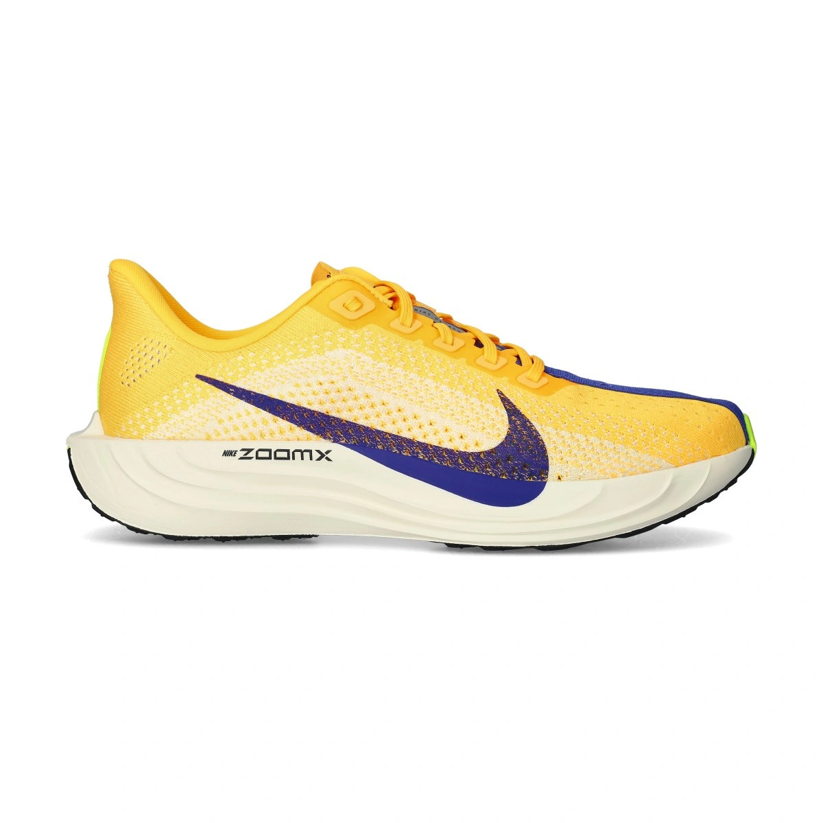 zapatilla-nike-pegasus-plus-multicolor-1