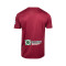 Acerbis Lecco Calcio Third 2025 - 2026 Shirt