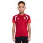 Slb Benfica Training 2026-2027 Kind-team power red 2/white