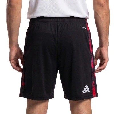 Slb Benfica Tercera Equipación 2026-2027 Shorts