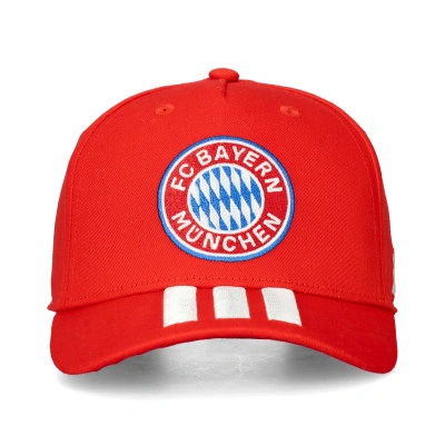 Fc Bayern 2026-2027 Kind Pet
