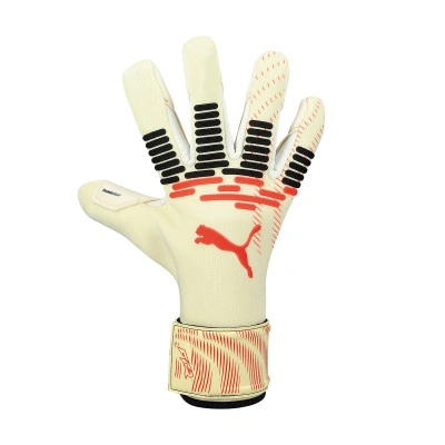 Future Pro Handschoen